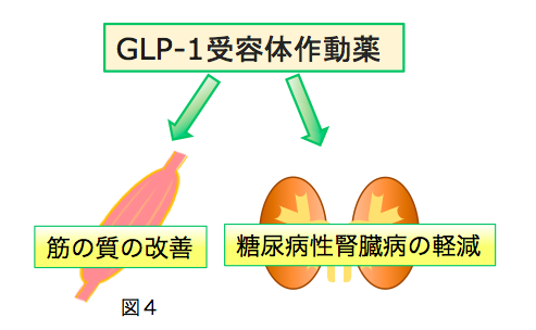 糖尿病性腎臓病の進行抑制